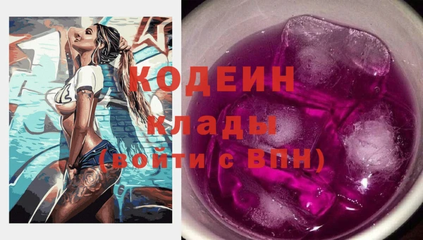 индика Аркадак