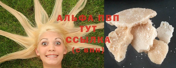 стафф Армянск