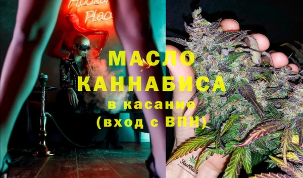 индика Аркадак