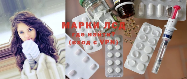 индика Аркадак