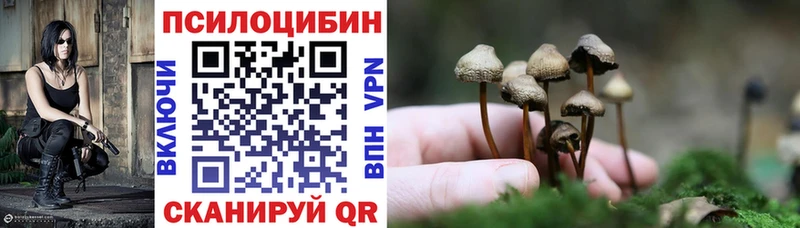 Галлюциногенные грибы мицелий  Руза 